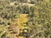 225 Murray Scrub Road, Kyogle, NSW 2474-Image