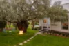 2250 Winchelsea-Deans Marsh Road, Deans Marsh, Vic 3235-Image