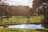 2250 Winchelsea-Deans Marsh Road, Deans Marsh, Vic 3235-Image