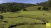 2257 Monkerai Road, Wards River, NSW 2422-Image