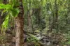 226 Ryan Road, Wolvi, Qld 4570