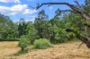 226 Ryan Road, Wolvi, Qld 4570-Image