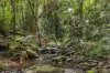 226 Ryan Road, Wolvi, Qld 4570-Image