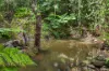 226 Ryan Road, Wolvi, Qld 4570-Image