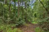226 Ryan Road, Wolvi, Qld 4570-Image