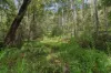 226 Ryan Road, Wolvi, Qld 4570-Image