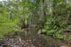 226 Ryan Road, Wolvi, Qld 4570-Image