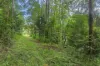 226 Ryan Road, Wolvi, Qld 4570-Image