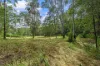 226 Ryan Road, Wolvi, Qld 4570-Image