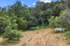 226 Ryan Road, Wolvi, Qld 4570-Image