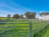 2264 Henty Highway, Cavendish, Vic 3314-Image