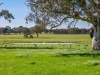 2264 Henty Highway, Cavendish, Vic 3314-Image