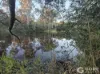 227 Poulsen Road, Carters Ridge, Qld 4563-Image