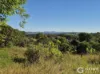 227 Poulsen Road, Carters Ridge, Qld 4563-Image