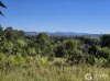 227 Poulsen Road, Carters Ridge, Qld 4563-Image