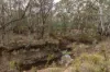 2278 Burrendong Way, Orange, NSW 2800-Image