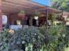 229-230, George Street, Wowan, Qld 4702-Image