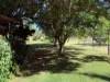 229-230, George Street, Wowan, Qld 4702-Image