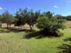 229-230, George Street, Wowan, Qld 4702-Image