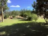 229-230, George Street, Wowan, Qld 4702-Image