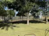 229-230, George Street, Wowan, Qld 4702-Image