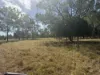 229-230, George Street, Wowan, Qld 4702-Image