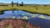 23 Boons Road, Dalrymple Heights QLD 4757-Image