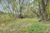 23 Spur Lane, Mutdapilly QLD 4307-Image