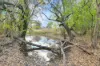 23 Spur Lane, Mutdapilly QLD 4307-Image