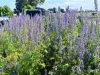 230 Colac - Ballarat Road, Irrewarra, Vic 3249-Image
