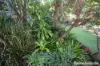 230 Wittman, Booie, Qld 4610-Image