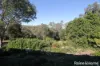 230 Wittman, Booie, Qld 4610-Image