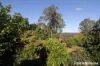 230 Wittman, Booie, Qld 4610-Image
