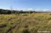 230 Wittman, Booie, Qld 4610-Image