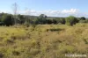 230 Wittman, Booie, Qld 4610-Image