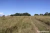 230 Wittman, Booie, Qld 4610-Image