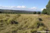 230 Wittman, Booie, Qld 4610-Image