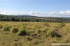 230 Wittman, Booie, Qld 4610-Image