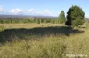 230 Wittman, Booie, Qld 4610-Image