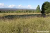 230 Wittman, Booie, Qld 4610-Image