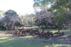 230 Wittman, Booie, Qld 4610-Image