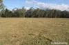 230 Wittman, Booie, Qld 4610-Image