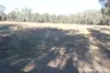 230 Wittman, Booie, Qld 4610-Image