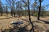 2308 Cullingral Road, Merriwa, NSW 2329-Image