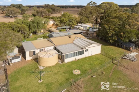231 Cope Road, Gulgong, NSW 2852