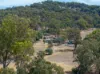 231 Wilkinsons Lane, Euroa VIC 3666-Image