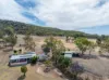 231 Wilkinsons Lane, Euroa VIC 3666-Image