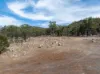 231 Wilkinsons Lane, Euroa VIC 3666-Image