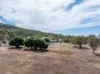 231 Wilkinsons Lane, Euroa VIC 3666-Image