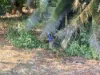 2315 Florina Road, Katherine, NT 0850-Image